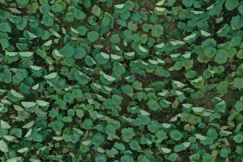 1665732284910712.png 1665732284910712.png